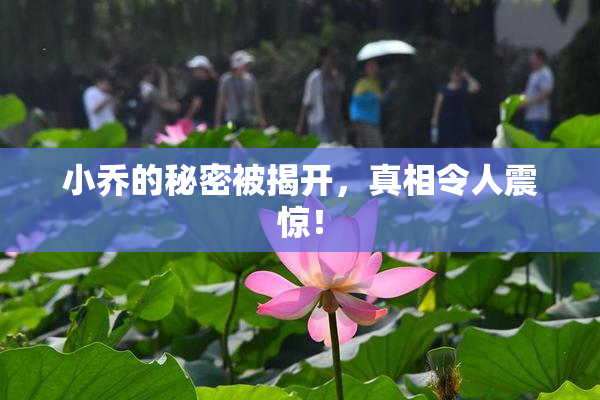 小乔的秘密被揭开，真相令人震惊！