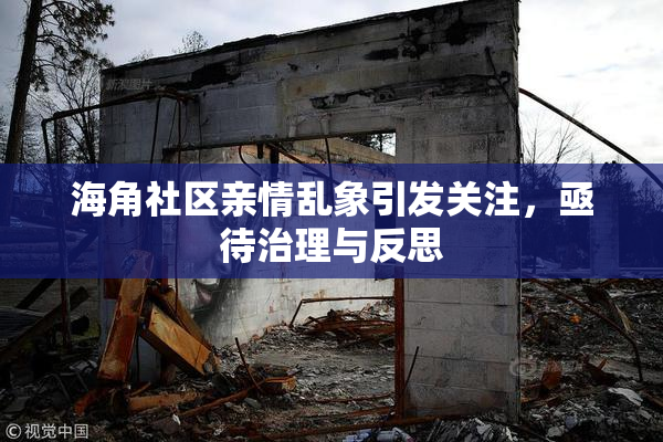 海角社区亲情乱象引发关注，亟待治理与反思