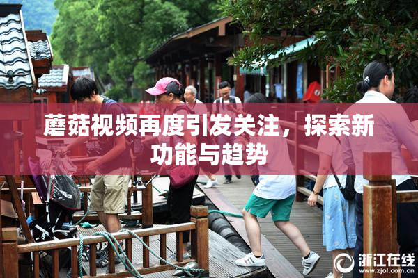 蘑菇视频再度引发关注，探索新功能与趋势