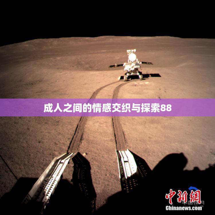 成人之间的情感交织与探索88