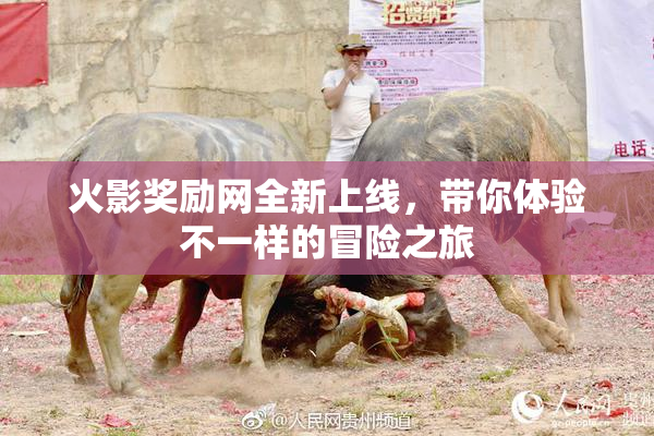 火影奖励网全新上线，带你体验不一样的冒险之旅