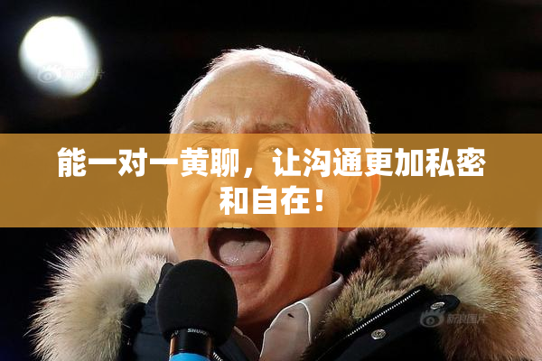 能一对一黄聊，让沟通更加私密和自在！