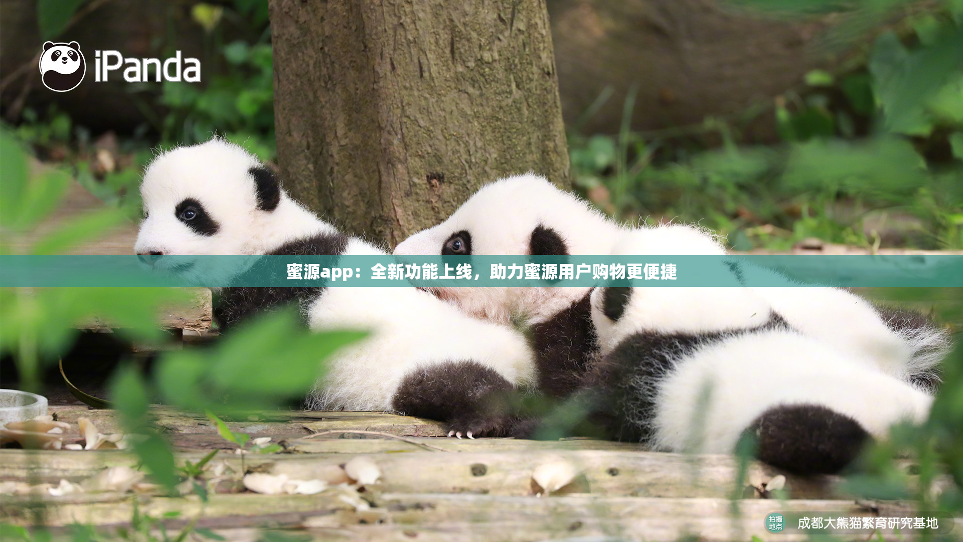 蜜源app：全新功能上线，助力蜜源用户购物更便捷