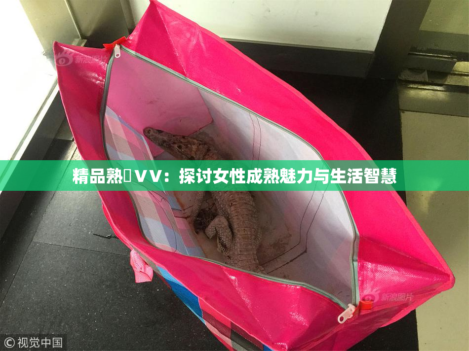 精品熟婦ⅤV：探讨女性成熟魅力与生活智慧