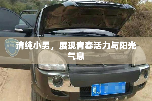 清纯小男，展现青春活力与阳光气息