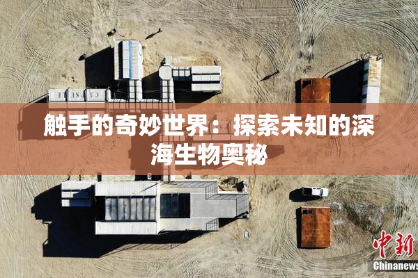 触手的奇妙世界：探索未知的深海生物奥秘