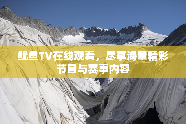 鱿鱼TV在线观看，尽享海量精彩节目与赛事内容