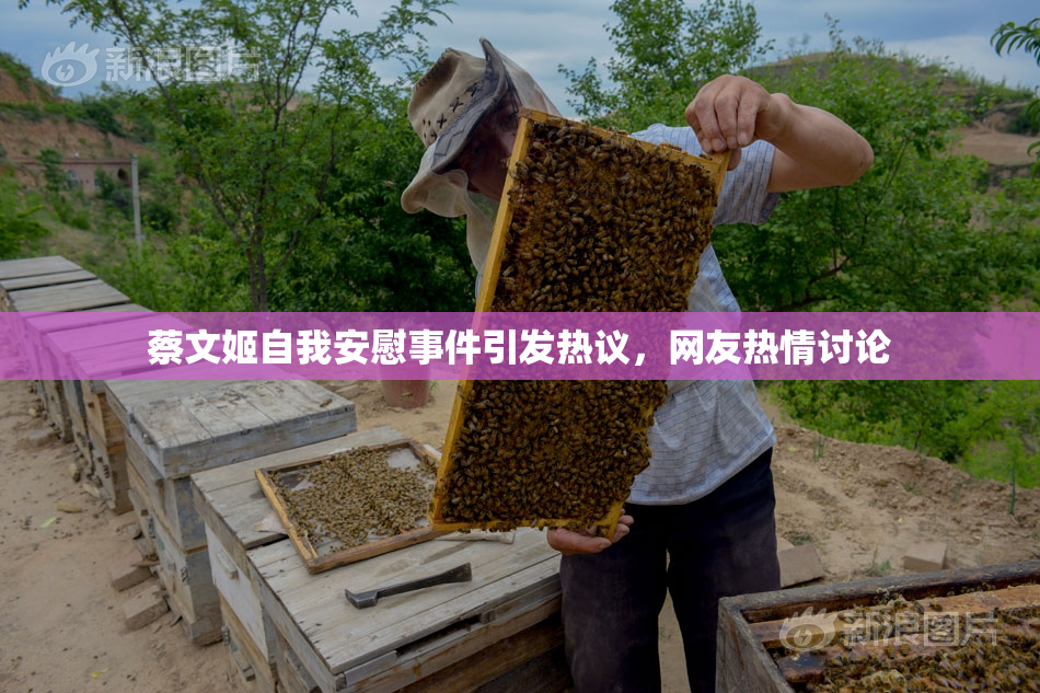 蔡文姬自我安慰事件引发热议，网友热情讨论