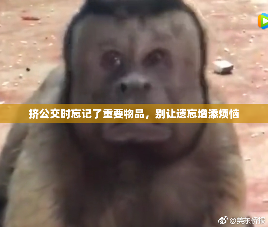 挤公交时忘记了重要物品，别让遗忘增添烦恼