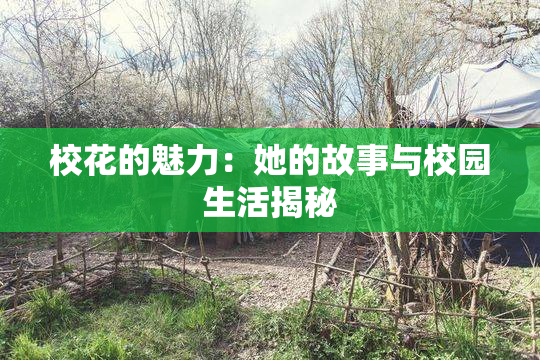 校花的魅力：她的故事与校园生活揭秘