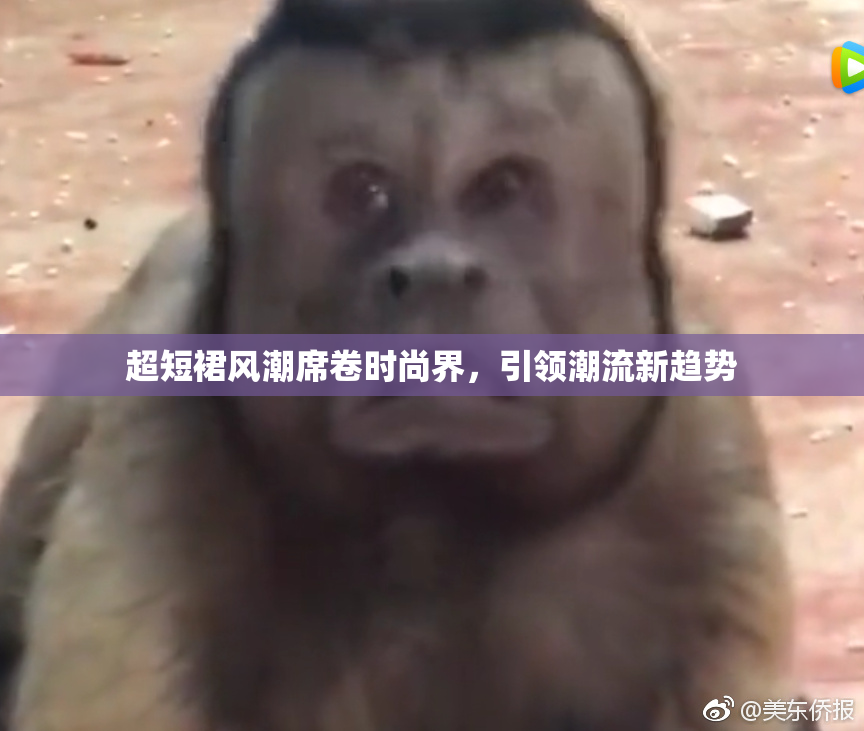 超短裙风潮席卷时尚界，引领潮流新趋势