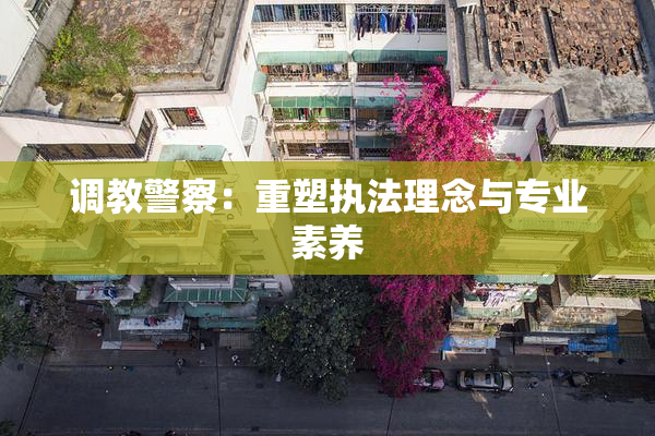 调教警察：重塑执法理念与专业素养