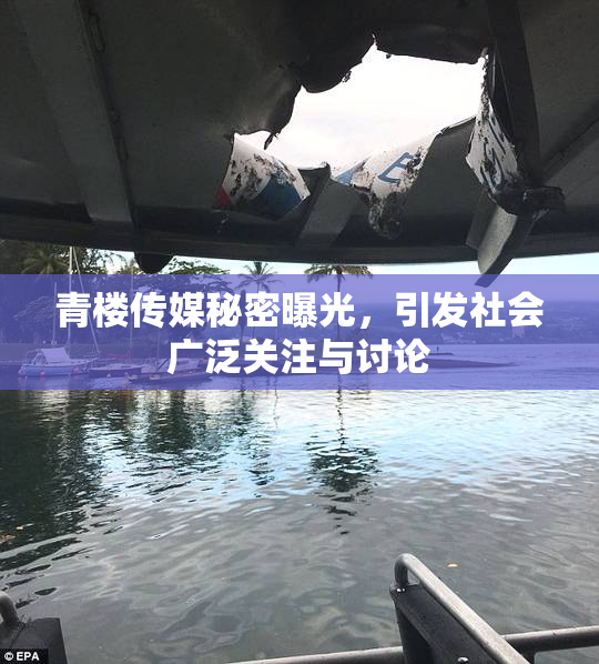 青楼传媒秘密曝光，引发社会广泛关注与讨论