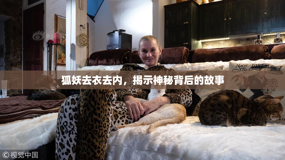 狐妖去衣去内，揭示神秘背后的故事