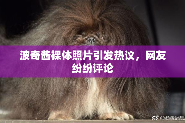 波奇酱裸体照片引发热议，网友纷纷评论