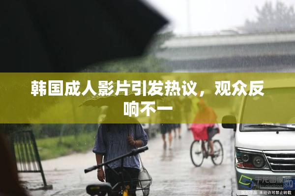 韩国成人影片引发热议，观众反响不一
