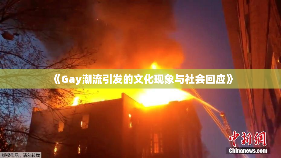 《Gay潮流引发的文化现象与社会回应》