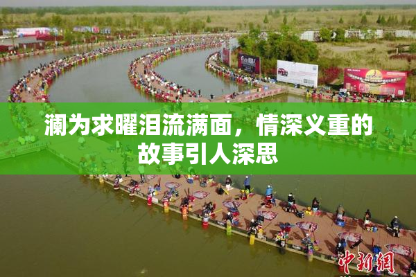 澜为求曜泪流满面，情深义重的故事引人深思