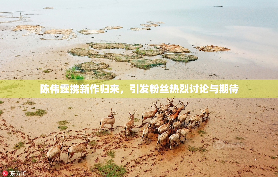 陈伟霆携新作归来，引发粉丝热烈讨论与期待