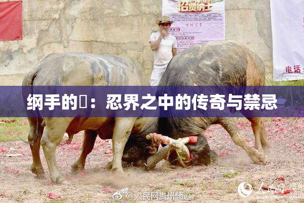 纲手的婬：忍界之中的传奇与禁忌