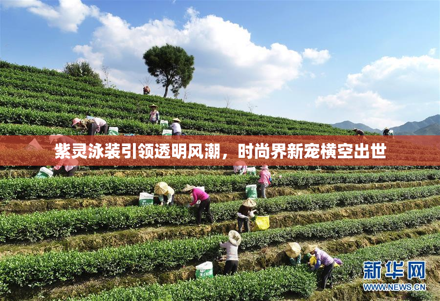 紫灵泳装引领透明风潮，时尚界新宠横空出世