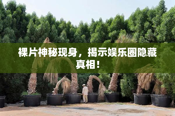 裸片神秘现身，揭示娱乐圈隐藏真相！