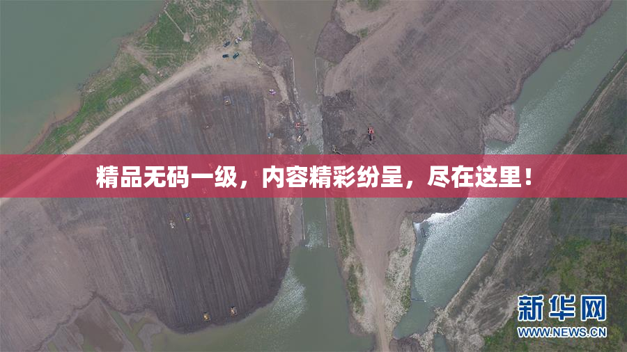 精品无码一级，内容精彩纷呈，尽在这里！