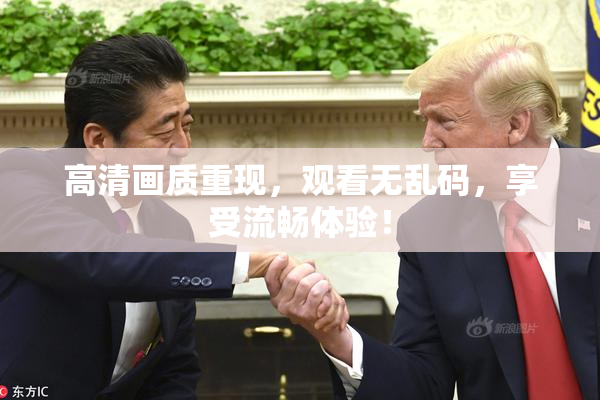 高清画质重现，观看无乱码，享受流畅体验！