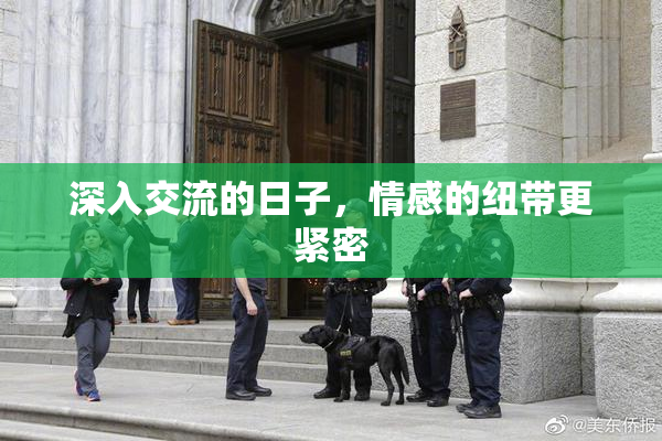深入交流的日子，情感的纽带更紧密