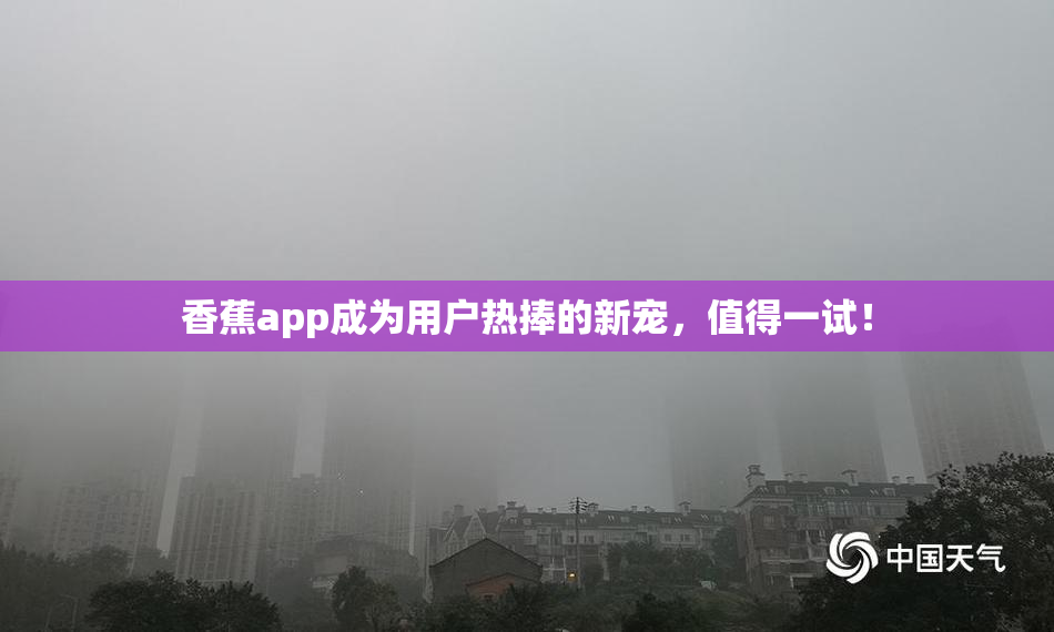 香蕉app成为用户热捧的新宠，值得一试！