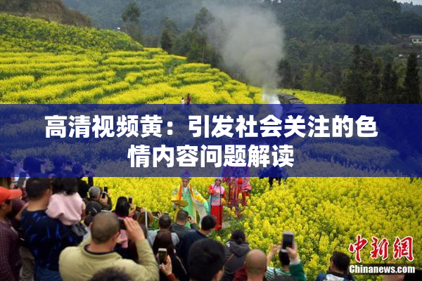 高清视频黄：引发社会关注的色情内容问题解读