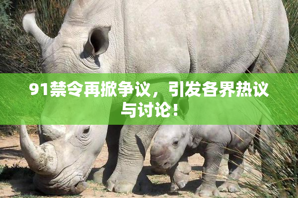 91禁令再掀争议，引发各界热议与讨论！