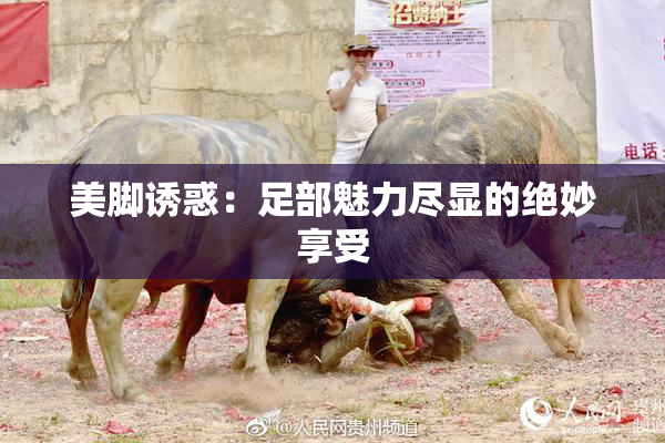 美脚诱惑：足部魅力尽显的绝妙享受