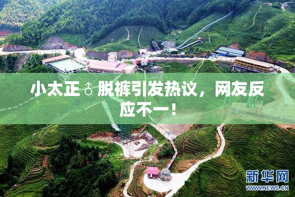 小太正♂脱裤引发热议，网友反应不一！