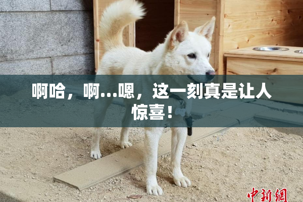 啊哈，啊…嗯，这一刻真是让人惊喜！