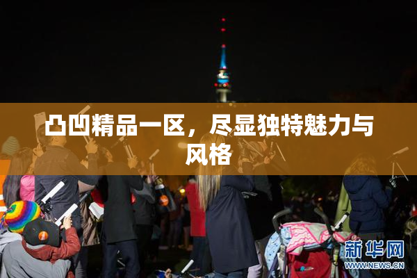 凸凹精品一区，尽显独特魅力与风格