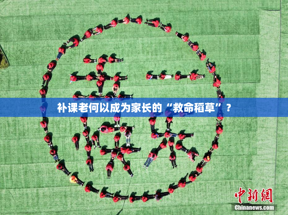 补课老何以成为家长的“救命稻草”？