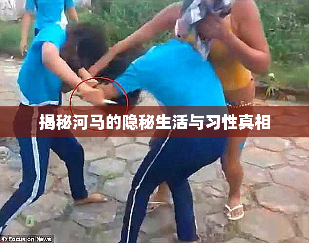 揭秘河马的隐秘生活与习性真相