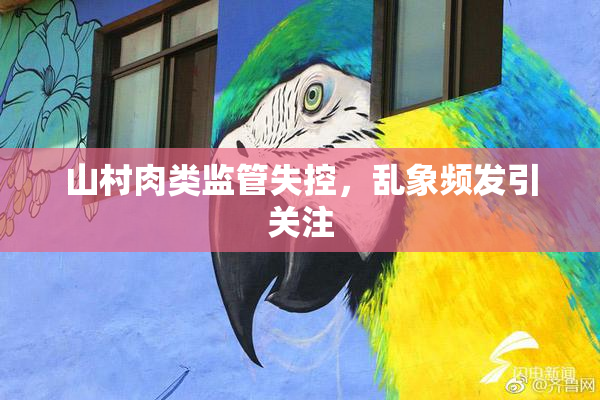 山村肉类监管失控，乱象频发引关注