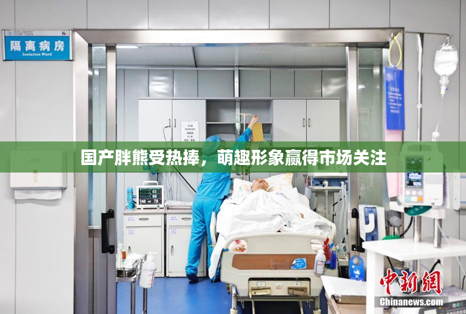 国产胖熊受热捧，萌趣形象赢得市场关注