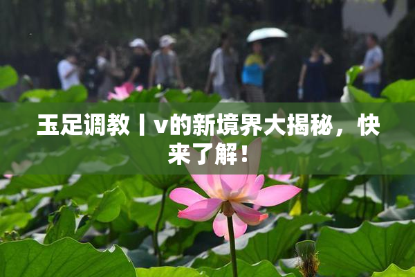 玉足调教丨v的新境界大揭秘，快来了解！