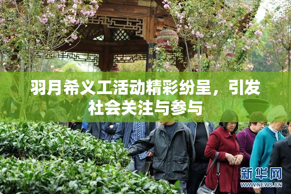 羽月希义工活动精彩纷呈，引发社会关注与参与