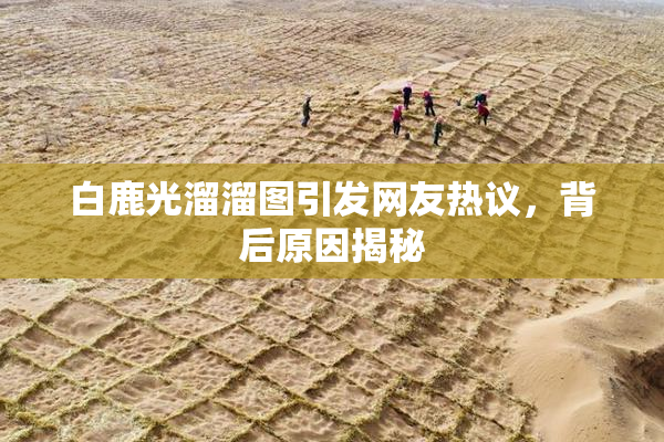 白鹿光溜溜图引发网友热议，背后原因揭秘