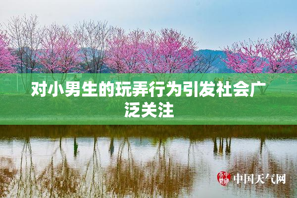 对小男生的玩弄行为引发社会广泛关注