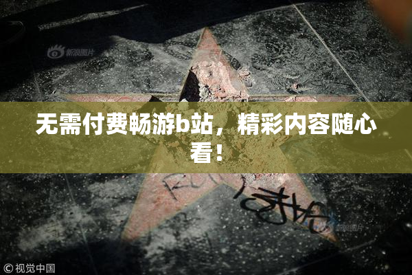 无需付费畅游b站，精彩内容随心看！