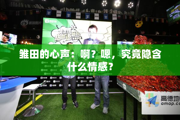雏田的心声：啊？嗯，究竟隐含什么情感？