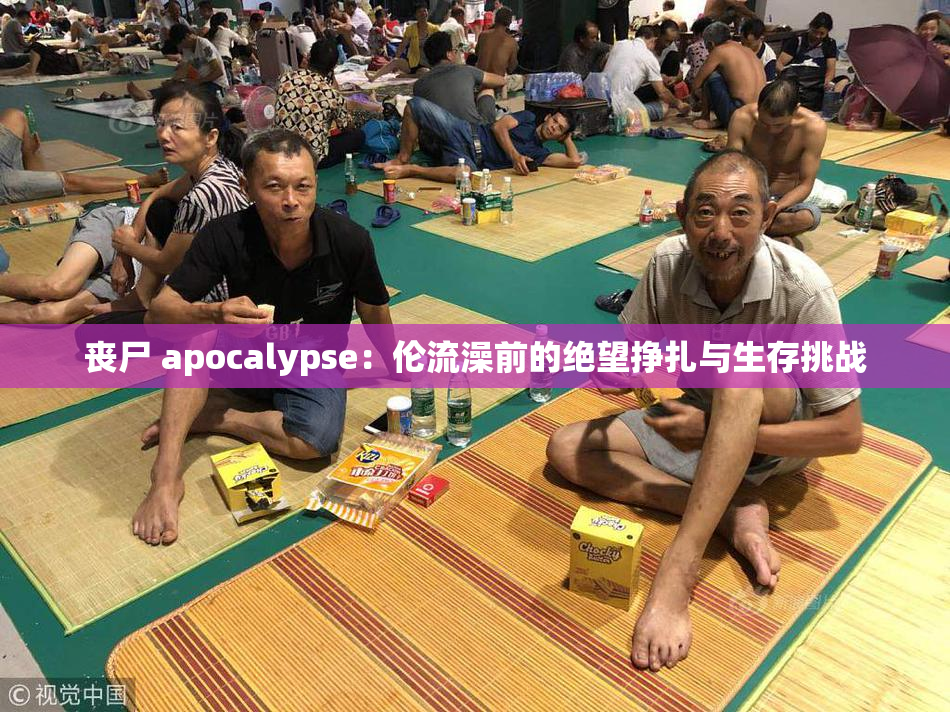 丧尸 apocalypse：伦流澡前的绝望挣扎与生存挑战