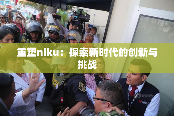 重塑niku：探索新时代的创新与挑战