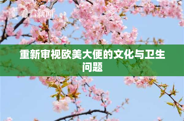 重新审视欧美大便的文化与卫生问题