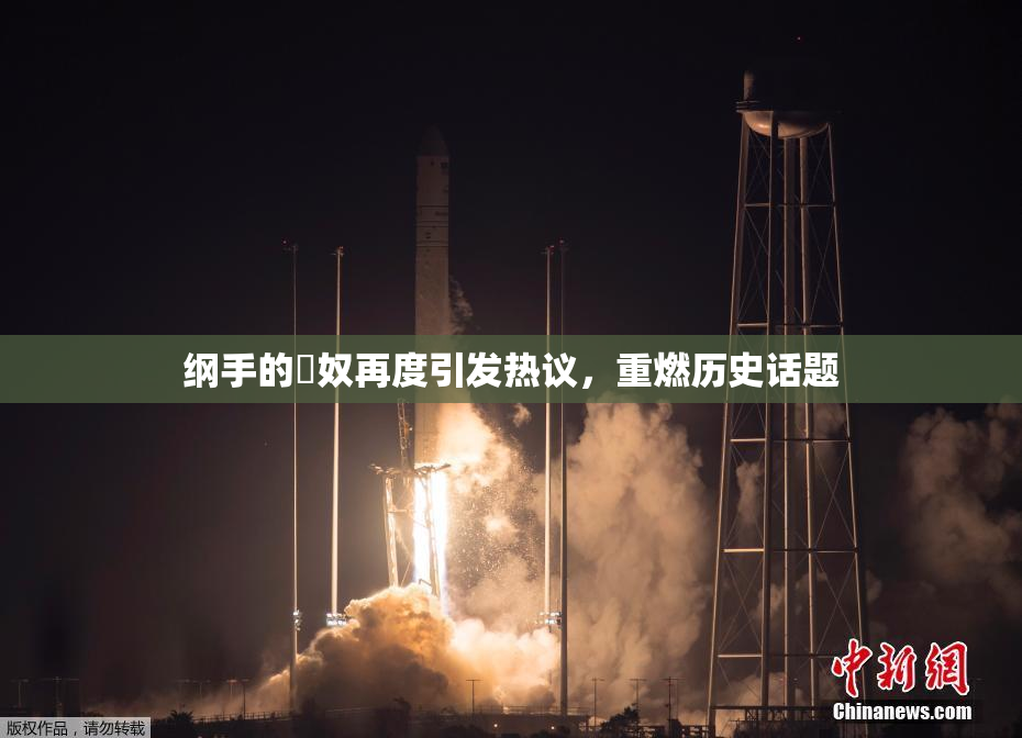纲手的婬奴再度引发热议，重燃历史话题